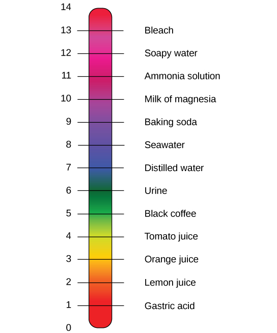 pH scale with examples. See Figure 2.3.5 Description