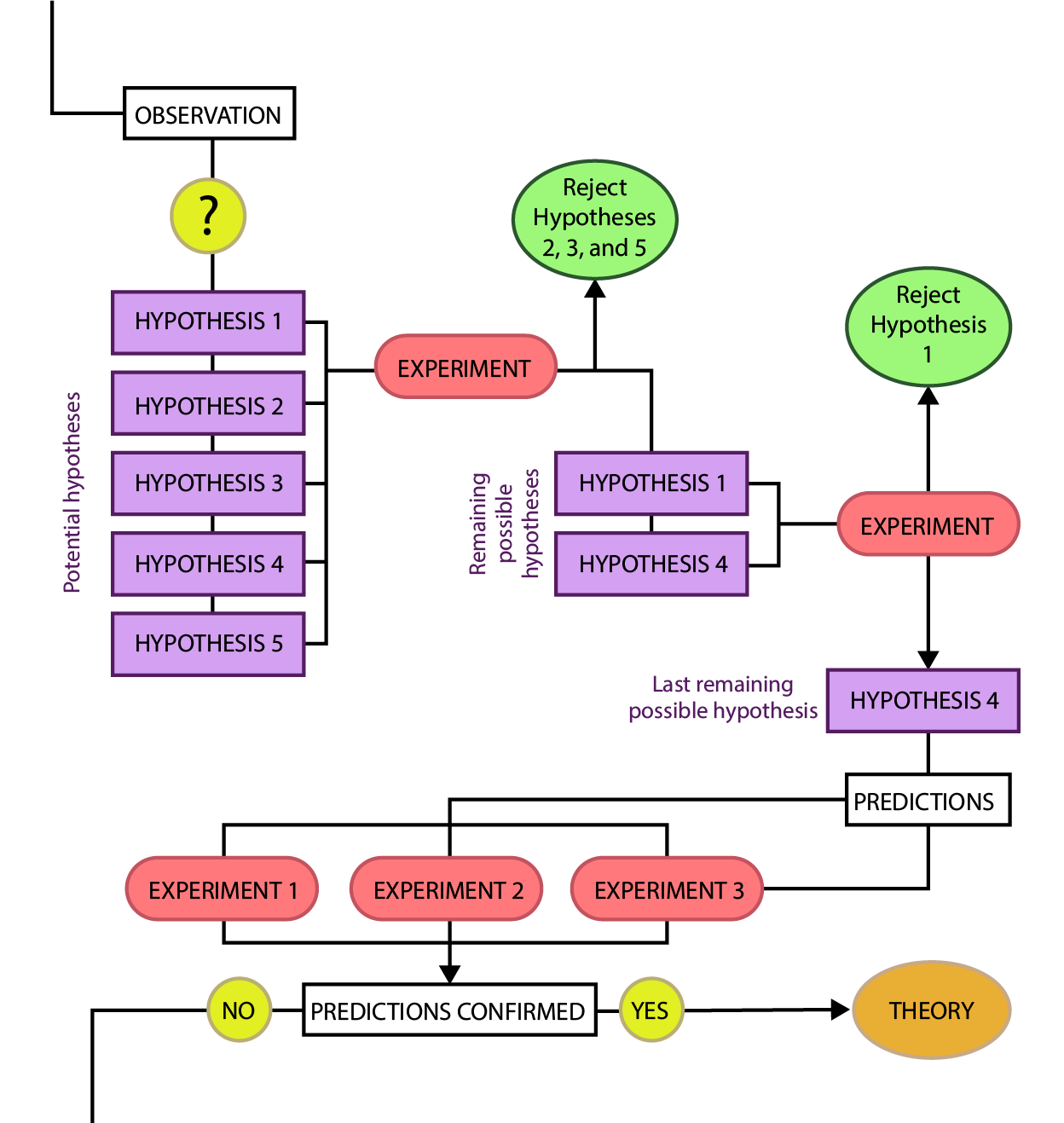 Complex flow-chart.