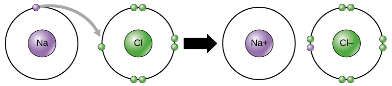 Electron moves from sodium to chloride, sodium becomes positive and chloride becomes negative.