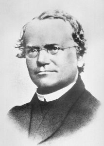 Portrait of Gregor Mendel