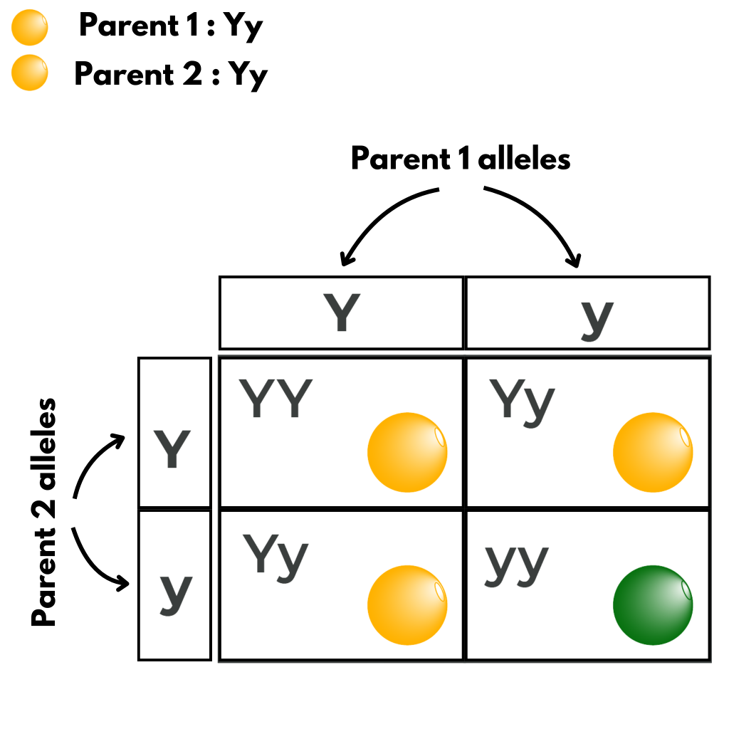 Figure 8.3.1 description below