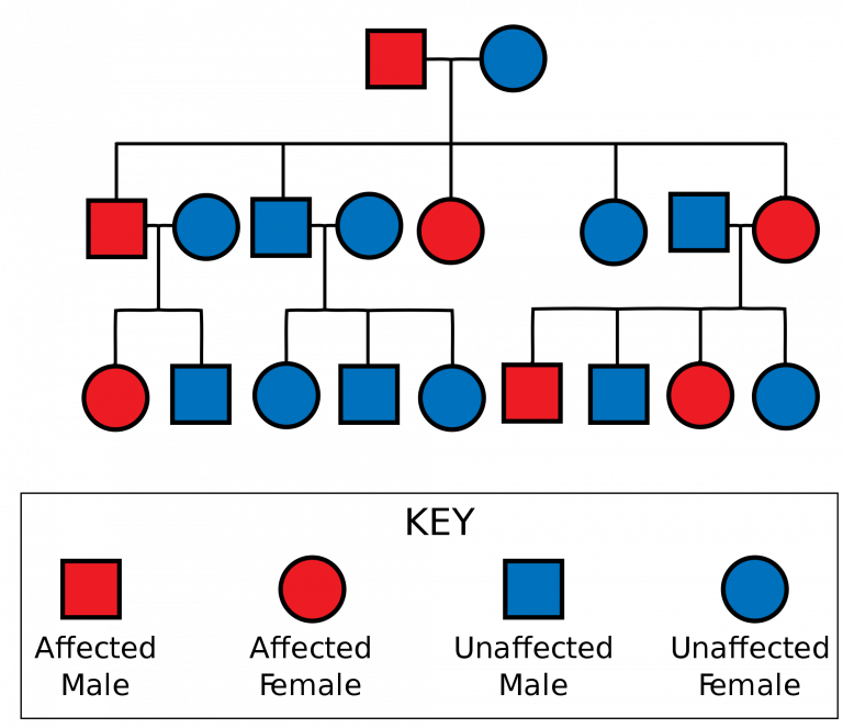 Figure 8.3.8 description below