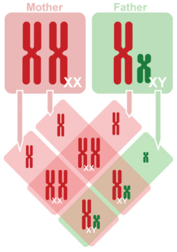 Figure 8.2.2 description below