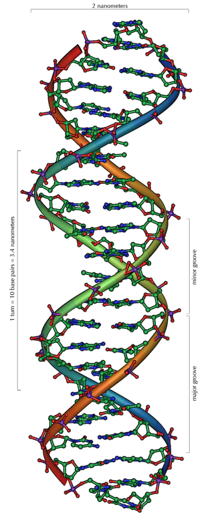 Figure 9.1.1 description below