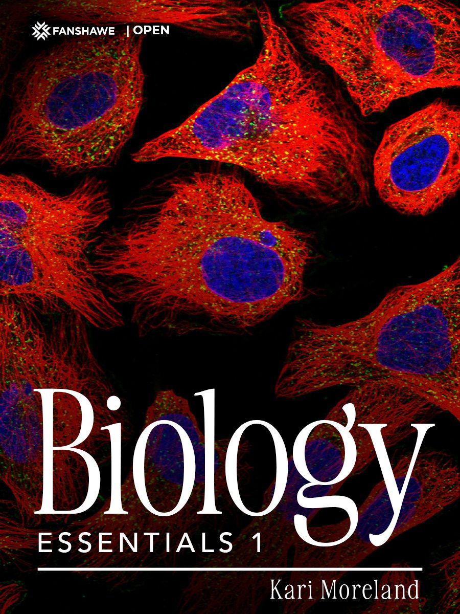 Cover image for Biology Essentials 1