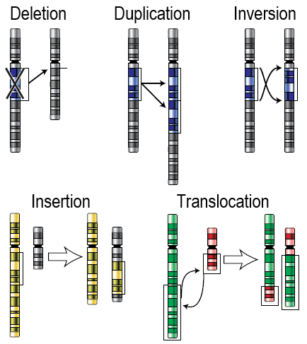 Figure 9.3.5 description below
