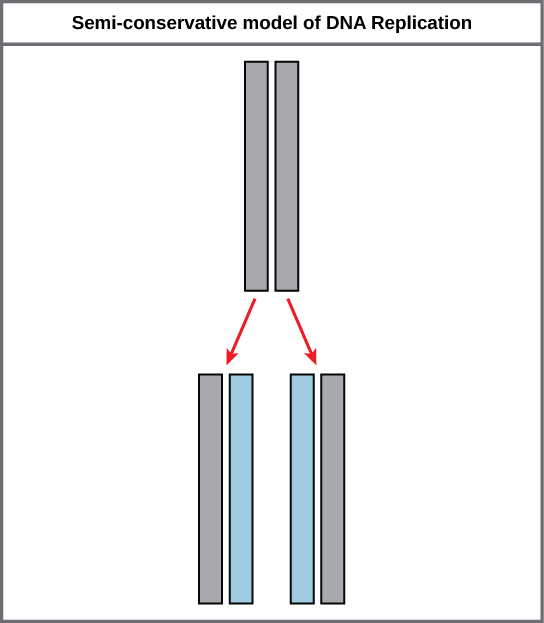 Figure 9.1.6 description below