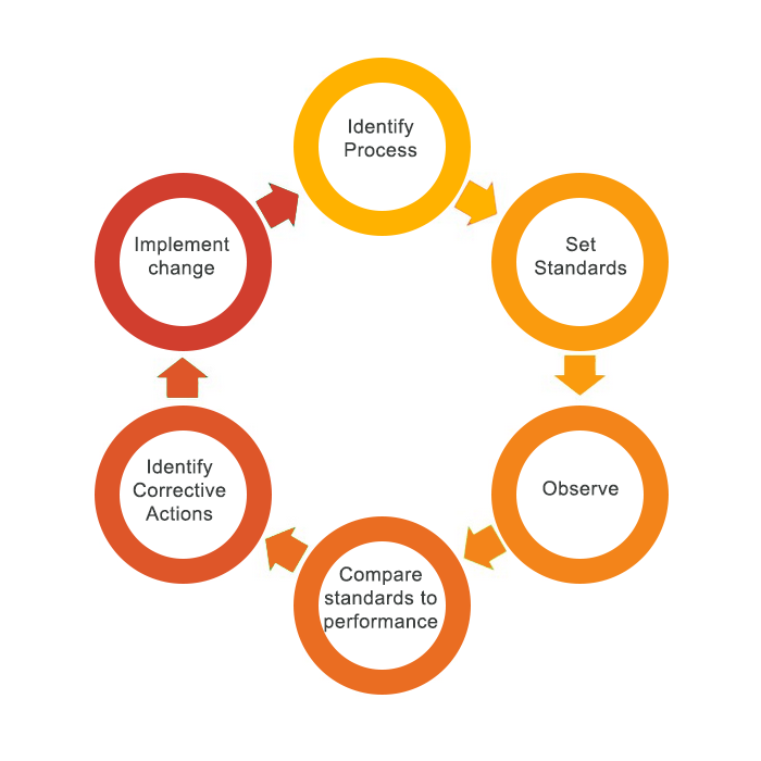 The continuous auditing process: Identify process, set standards, observe, compare standards to performance, identify corrective actions, implement change