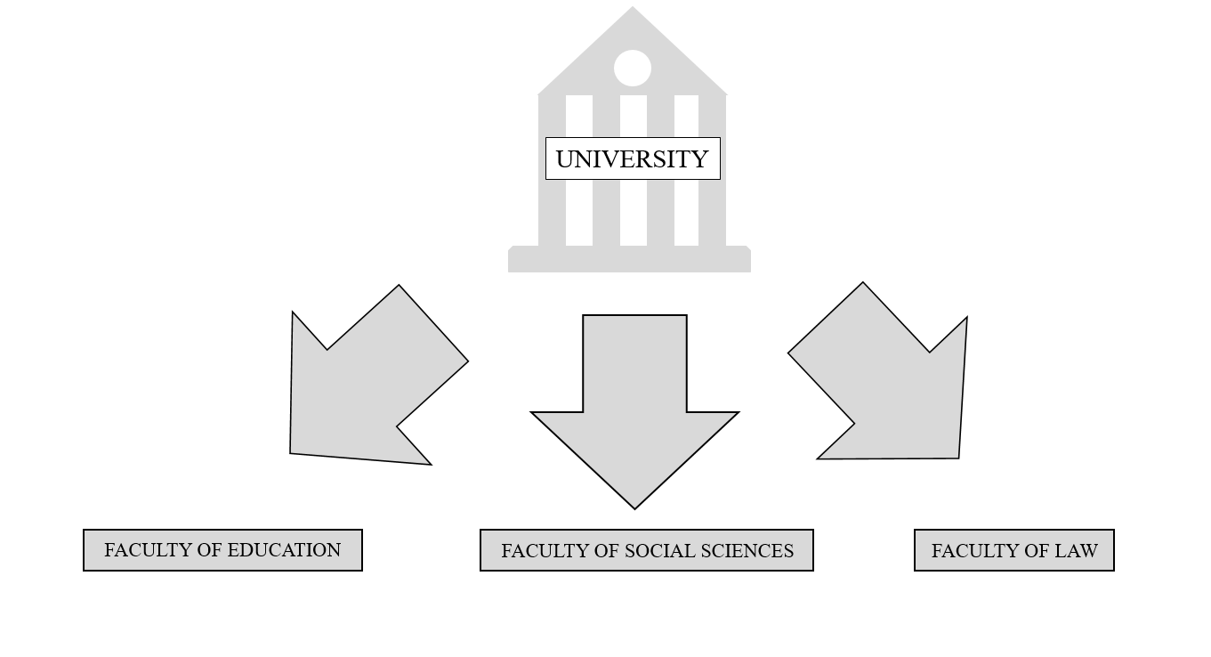 Example of hierarchy in a university system