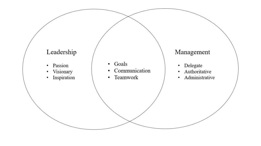 What are the differences between management and leadership - and