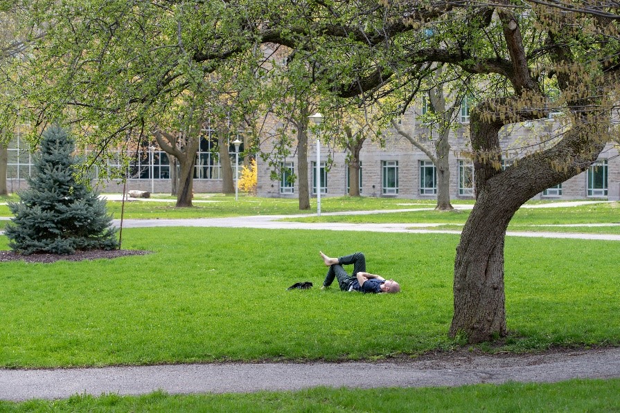 Student laying down in a McMaster greenspace, under a tree.