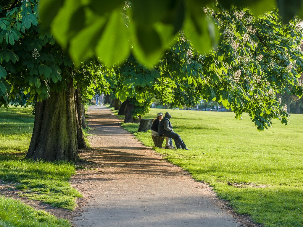 People sit on a park bench in the evening sun beside a path under trees.