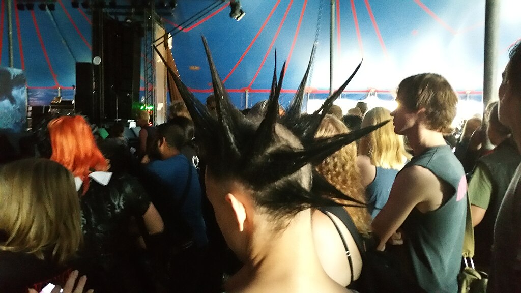 A community of people with a shared interest in punk music, but varying hair styles.