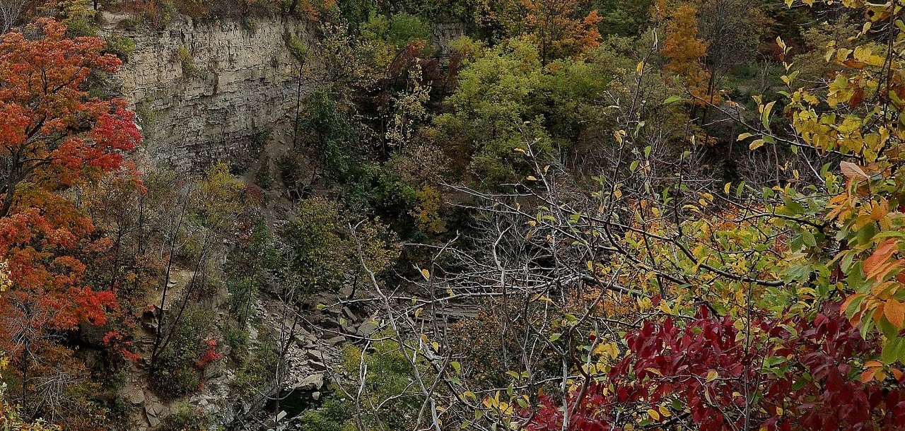 Fall trees and curving rock wall