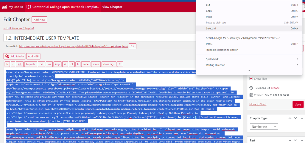 Corresponding to step 3; screenshot depicting selected HTML code from Pressbooks chapter editor