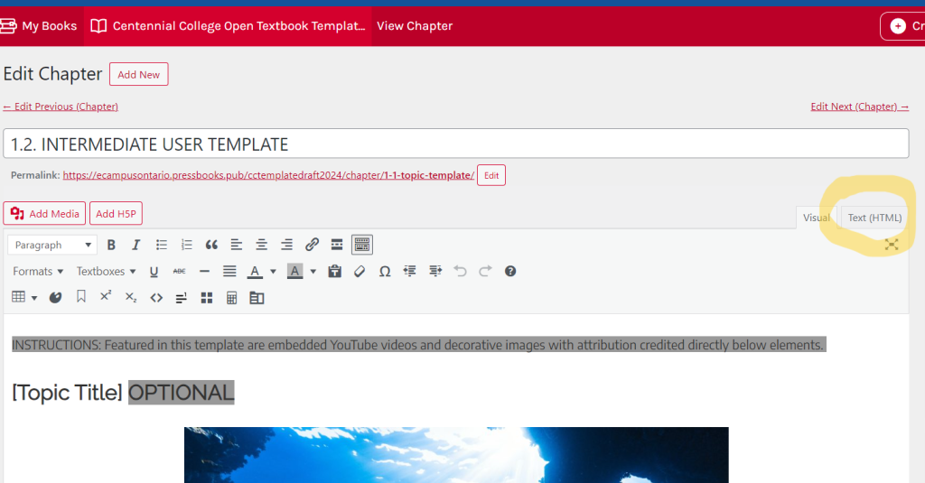 Corresponding to step 2; screenshot depicting location of Text (HTML) view for Chapter editor in Pressbooks