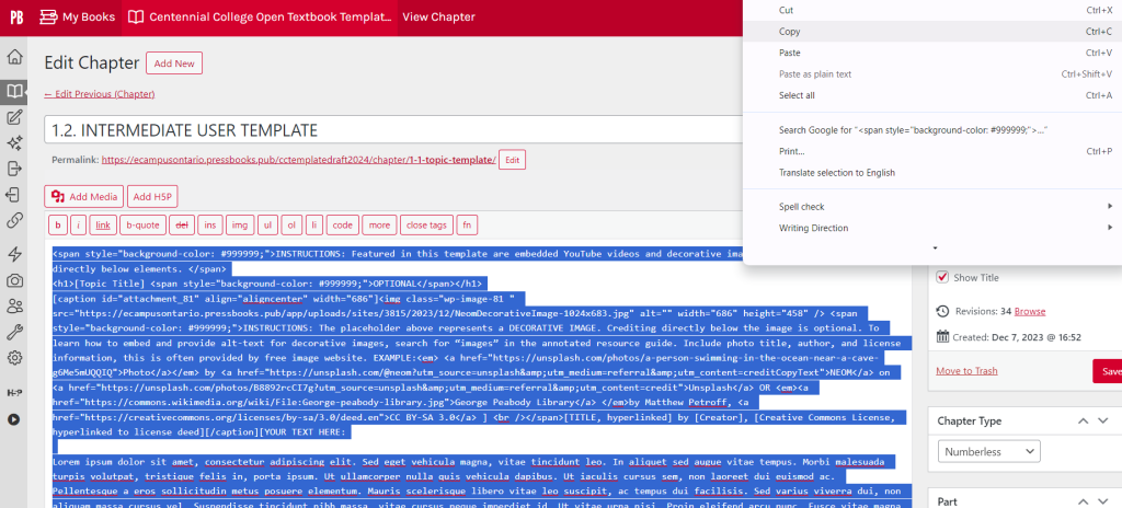 Corresponding to step 4; screenshot depicting copied HTML code from Pressbooks chapter editor