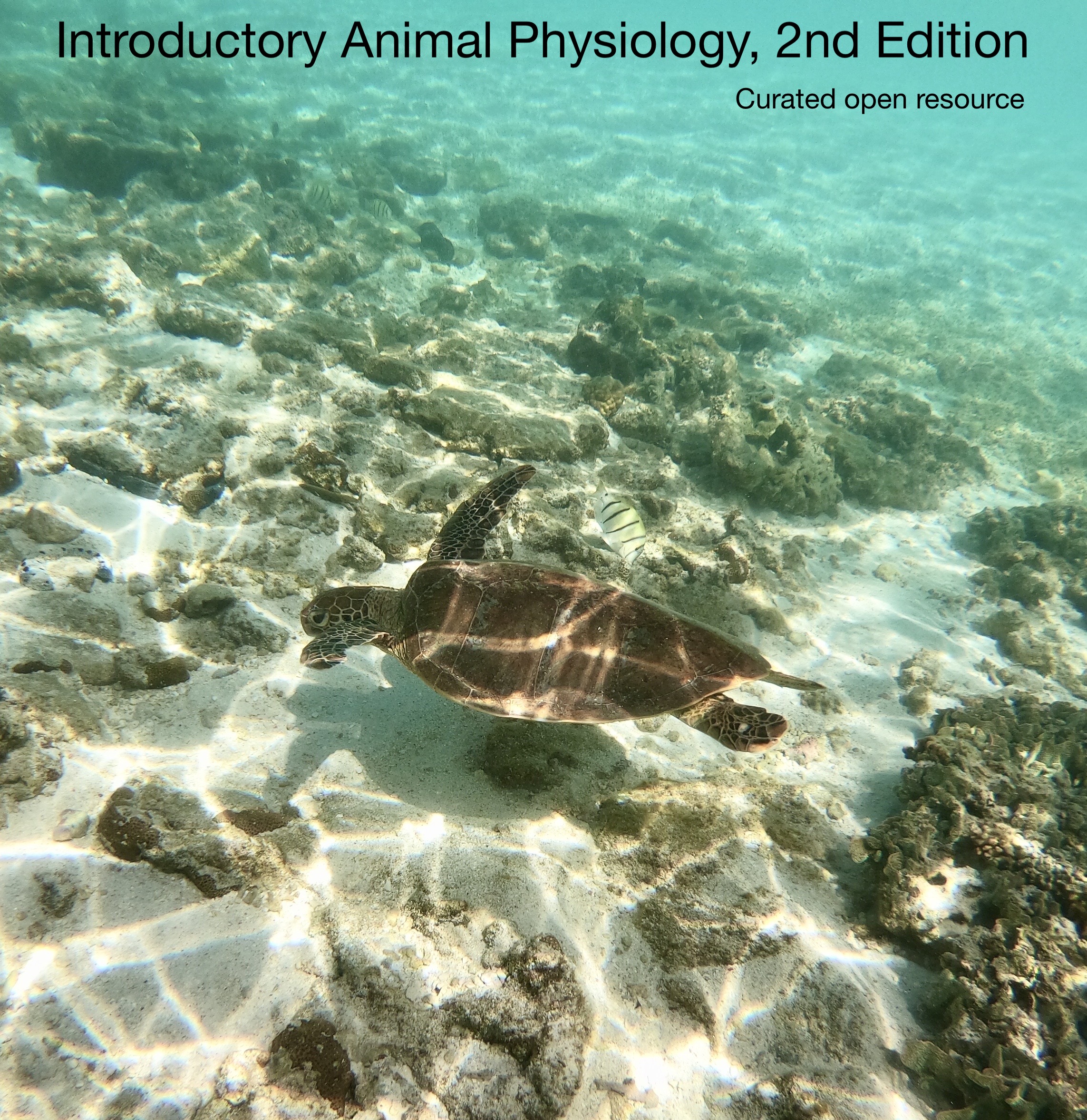 Introductory Animal Physiology 2nd Edition – Simple Book Publishing