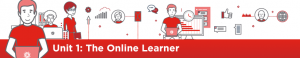 The Online Learner