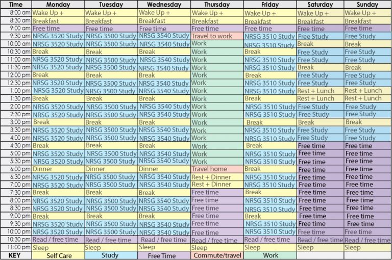 4.3 Developing a Weekly Schedule that Works – Learning to Learn Online ...