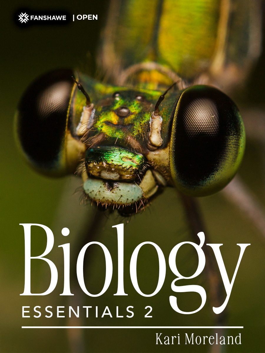 Cover image for Biology Essentials 2