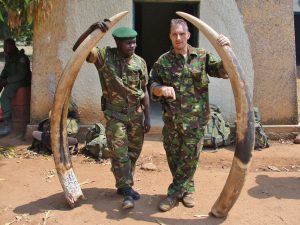 Two men posing with elephant tusks that were seized from poachers.