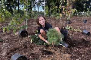 A child planting a tree.