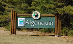 A sign that says Algonquin park.