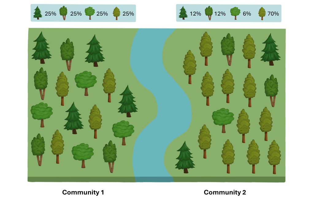 Community 1: 25% Spruce, 25% Birch, 25% Maple, 25% Beech, Community 2: 2% Spruce, 12% Birch, 6% Maple, 70% Beech