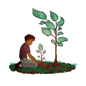 Young person kneeling next to growing plants.