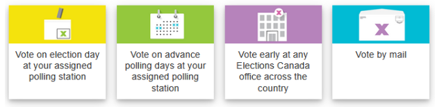 ways to vote in Canada. see image description