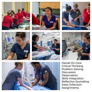 variety of images of Fanshawe PSW students