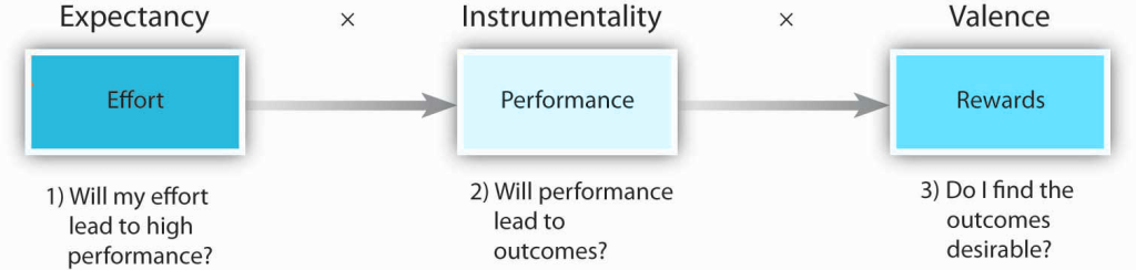 expectancy (effort) x instrumentality (performance) x valence (rewards)