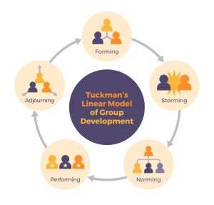 Tuckman's model: forming, storming, norming, performing, adjourning