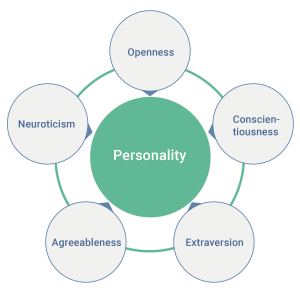 Big Five Personality traits: Openness, conscientiousness, extraversion, agreeableness, neuroticism.