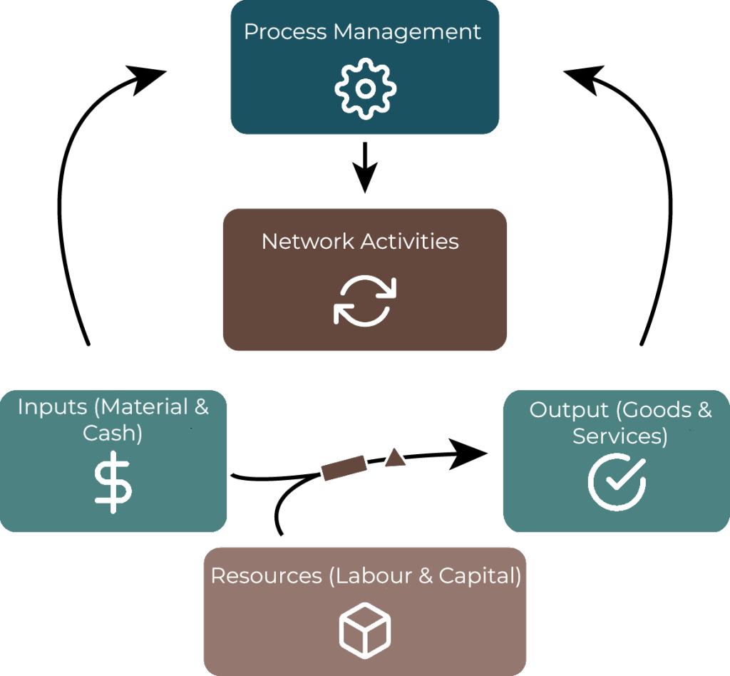 Inputs (materials/cash) & resources lead to outputs and process management which leads to network activities