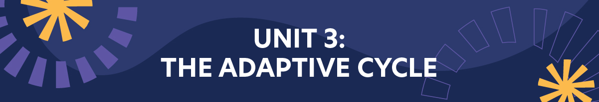 Unit 3: The Adaptive Cycle