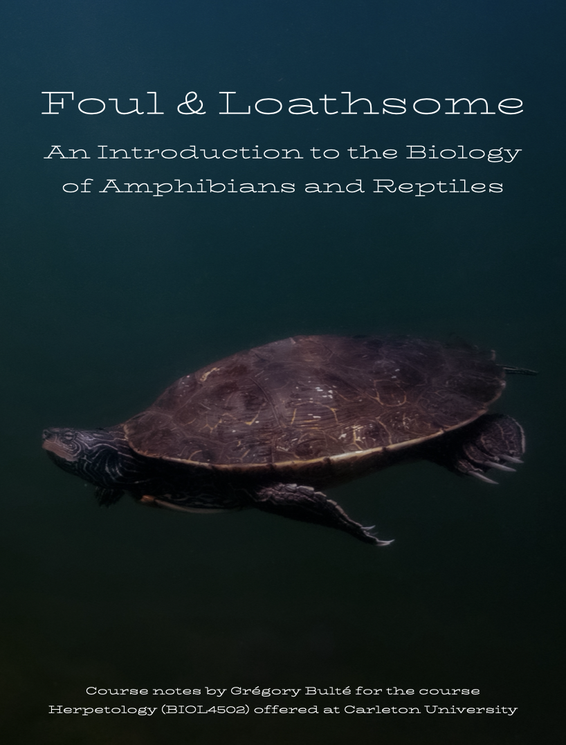 Cover image for Foul and Loathsome