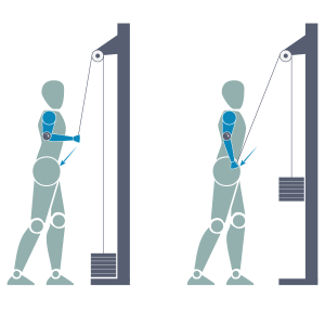 Illustration of a standing tricep extension.