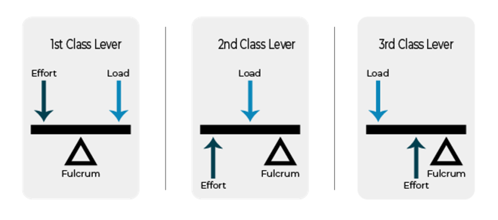 1st, 2nd and third class levers showing fulcrum, effort and load.
