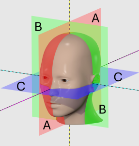 A human head divided into 3 planes - Sagittal (a), frontal (b) and transvers (c)