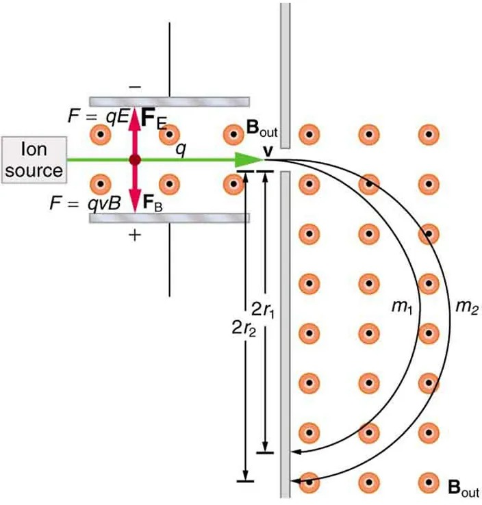 Diagram of a mass spectrometer. Ions travel to the right with velocity v from the ion source. Magnetic field lines come out of the page between two charged plates on either side of the ion beam. The electric force F equals q E acts on the ions in an upward direction while the magnetic force F equals q v B acts in a downward direction. The forces have the same magnitude and thus the ions travel in a straight line between the two plates. The ions then enter another region where the magnetic field lines come out of the page. An ion of mass 1 curves around, traveling a net distance of 2 r 1. An ion of mass 2 curves around, traveling a net distance of 2 r 2.