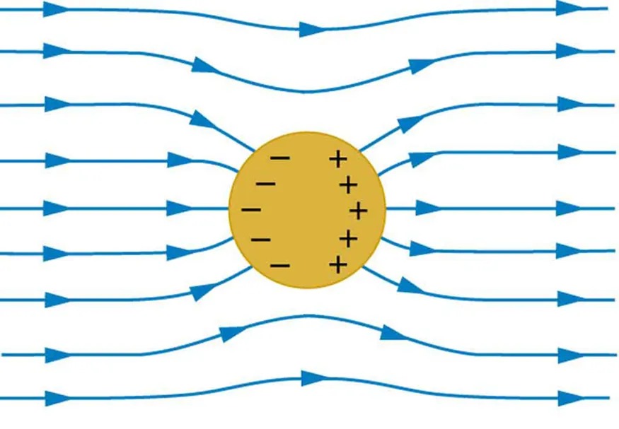 A spherical conductor is placed in the external electric field. The field lines are shown running from left to right. The field lines enter and leave the conductor at right angles. Negative charges accumulate on the left surface of the conductor and positive charges accumulate on the right surface of the conductor.
