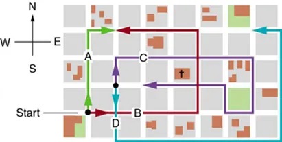 A map of city is shown. The houses are in form of square blocks of side one hundred and twenty meter each. Four paths A B C and D are shown in different colors. The path c shown as blue extends to one block towards north, then five blocks towards east and then two blocks towards south then one block towards west and one block towards north and finally three blocks towards west. It is asked to find out the total distance traveled the magnitude and the direction of the displacement from start to finish for path C.