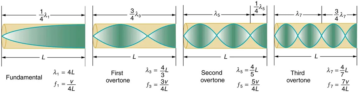 There are four tubes, each of which is closed at one end. Each tube has resonance waves reflected at the closed end. In the first tube, marked Fundamental, the wavelength is long and only one-fourth of the wave is inside the tube, with the maximum air displacement at the open end. In the second tube, marked First overtone, the wavelength is slightly shorter and three-fourths of the wave is inside the tube, with the maximum air displacement at the open end. In the third tube, marked Second overtone, the wavelength is still shorter and one and one-fourth of the wave is inside the tube, with the maximum air displacement at the open end. In the fourth tube, marked Third overtone, the wavelength is shorter than the others, and one and three-fourths of the wave is inside the tube, with the maximum air displacement at the open end.