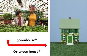 This picture shows a greenhouse for growing plants and a house that is green.