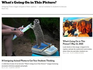 This is a creenshot of the New York Times webpage called What's Going On in this Picture.