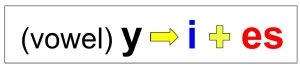 This graphic explains that when a word ends in y, and has a vowel before the y, the y changes to an i before adding the ending es to create a plural form.