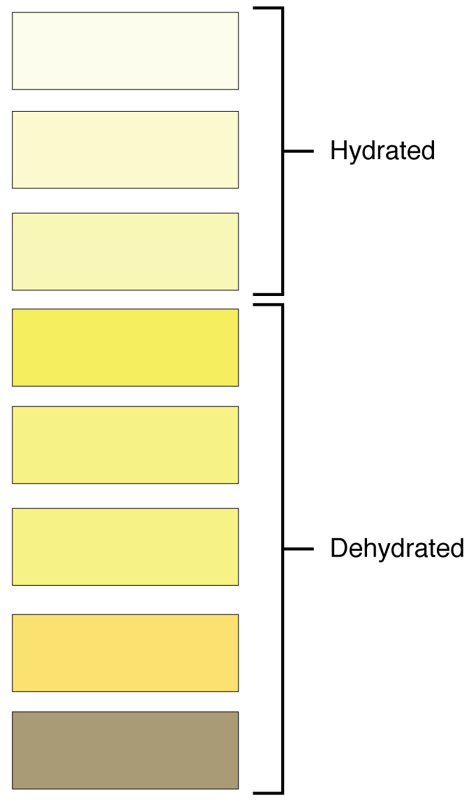 Hydration chart. Image description available.