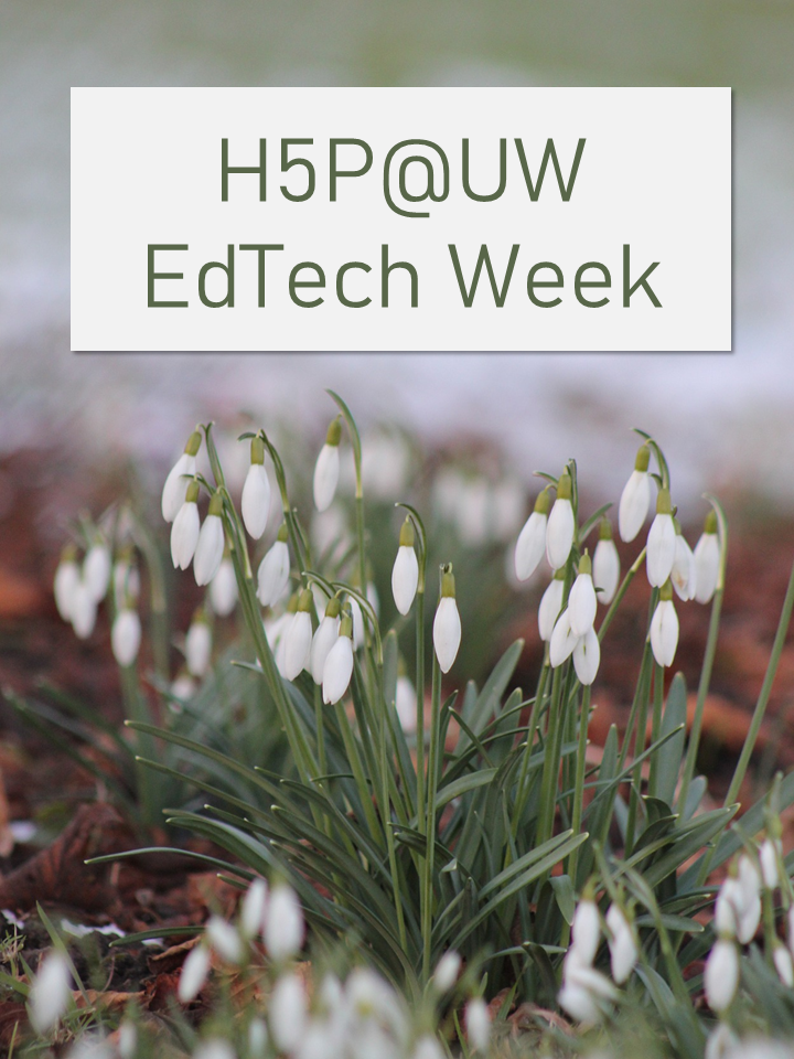 Cover image for H5P UW Workshop
